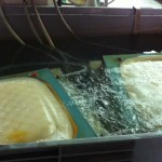 img_3368 img_3368