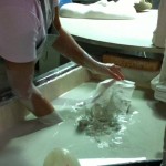 img_3778 img_3778